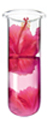 solutions Сила Молодости avon_kazan